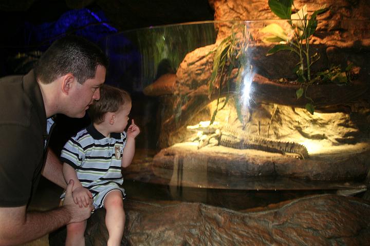 Grant's 2 year birthday044.JPG